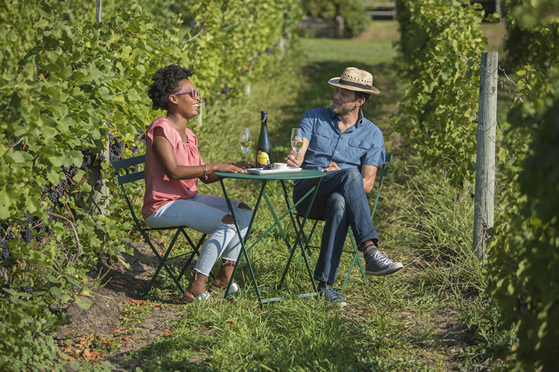 In Vino Veritas - Michigan’s wine industry has been expanding, with 3,375 wine grape acres, up 10 percent from 2016. // Courtesy of Mawby Vineyards