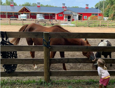 The Michigan Humane Center for Farm Animal Care at the Abraham Ranch in Clarkston soon will be serving hundreds of farm animals and livestock. // Courtesy of Abraham Ranch