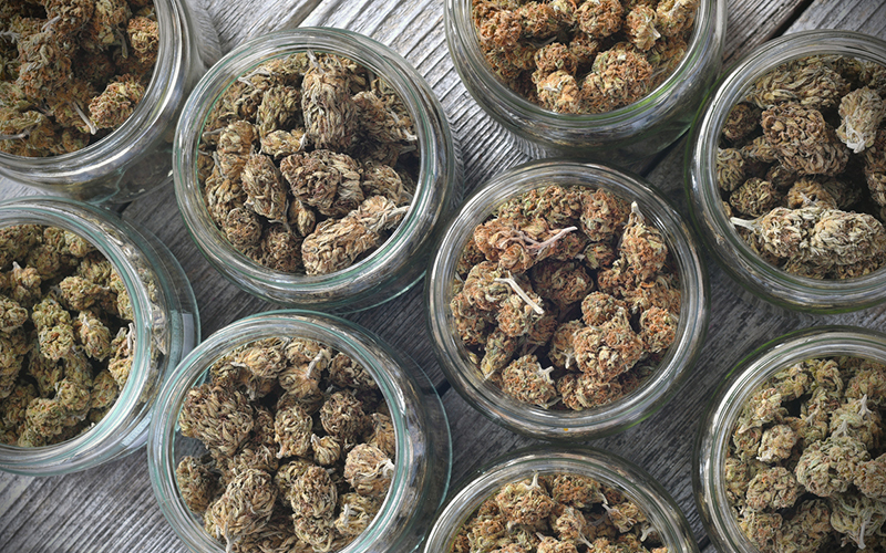 Dry and trimmed cannabis buds stored in a glas jars on a wooden table