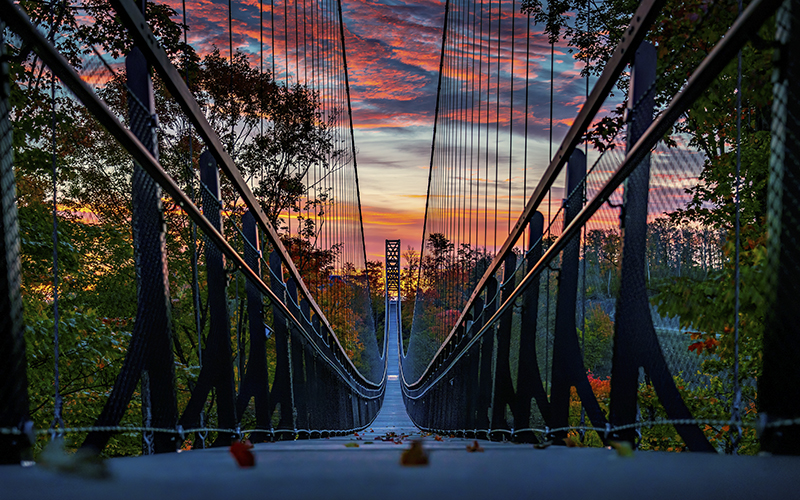 Skybridge Michigan