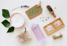 Pointe Angels in Grosse Pointe Leads Series B Funding Round for Livonia’s Ecovia Bio EcoviaBio