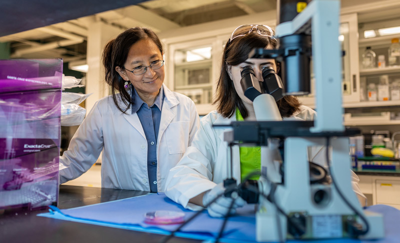 Michigan State University Reports Close to $1B in Research Spending